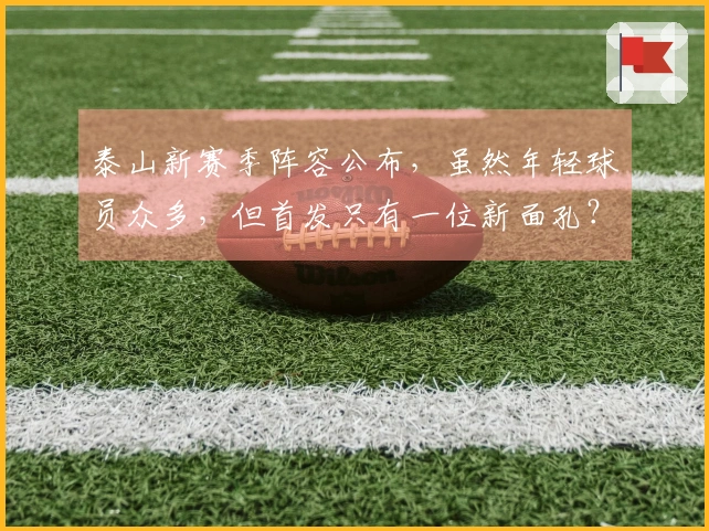 泰山新赛季阵容公布，虽然年轻球员众多，但首发只有一位新面孔？