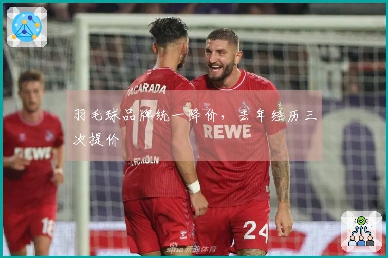 羽毛球品牌统一降价，去年经历三次提价